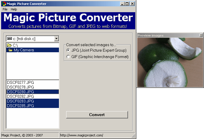 Magic Picture Converter - Converts digital photos to web formats.